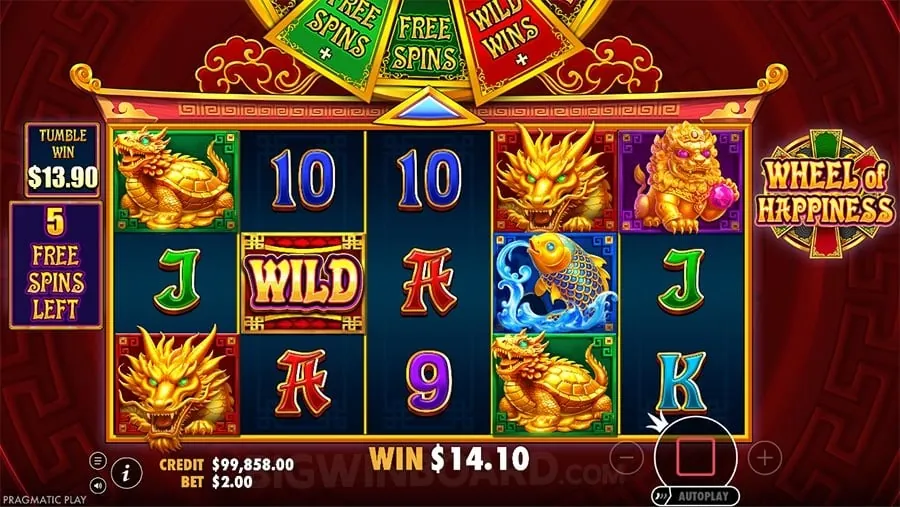 Live Casino Experience